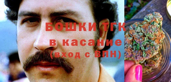 сатива Пролетарск