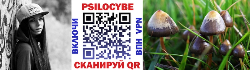 Галлюциногенные грибы Magic Shrooms  продажа наркотиков  Шимановск 